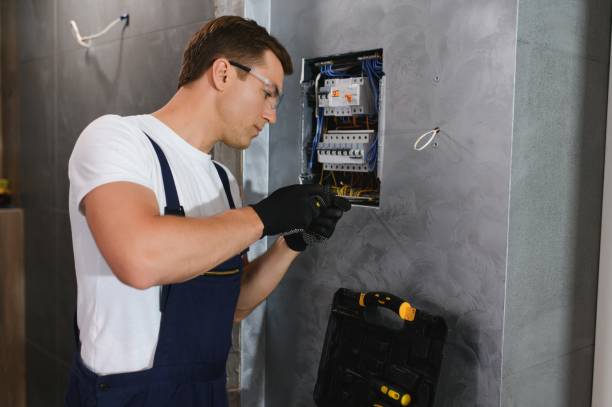 Best Electric Panel Repair  in Madison, WV